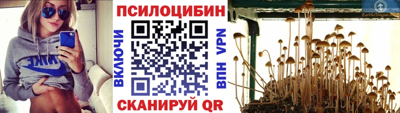 Псилоцибиновые грибы MAGIC MUSHROOMS  где продают наркотики  Смоленск 